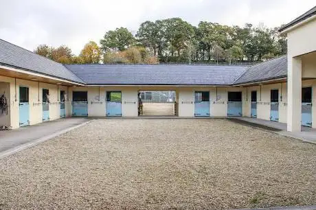 Charly Edwards Equestrian Ltd