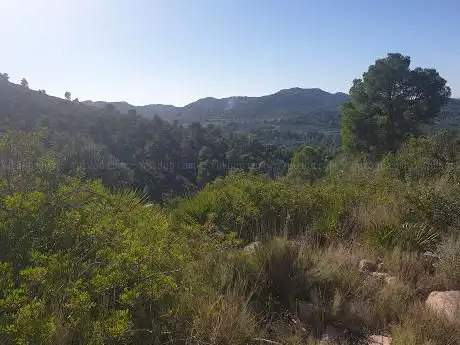 Photo de Montaña Les Rodanes