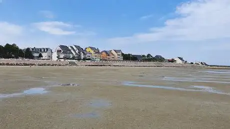 Photo de Visite en baie de Somme : Guide Baie De Somme - Traversée Baie De Somme - Phoques Baie De Somme