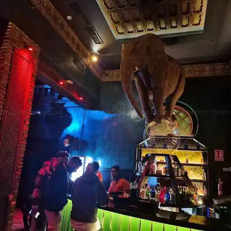 Photo de utopia