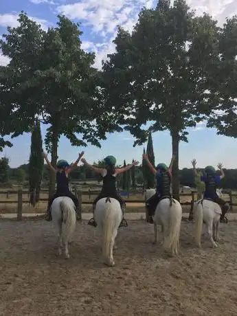 Photo de Associazione Equestre Fogliarina di Sheena Tanganelli e Figli