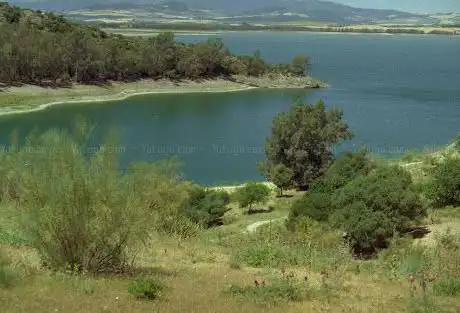 Photo de Embalse de Arcos de la Frontera
