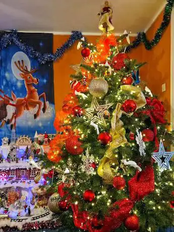 Photo de Real Christmas Trees Glasgow