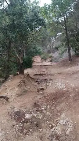 Camà de les coves