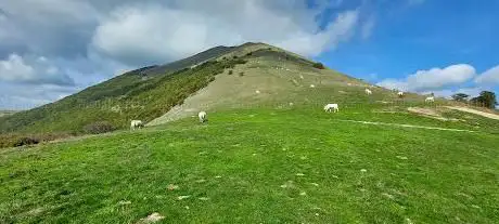 Photo de Pian di Rolla