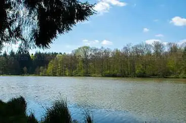 Etang de la Forge