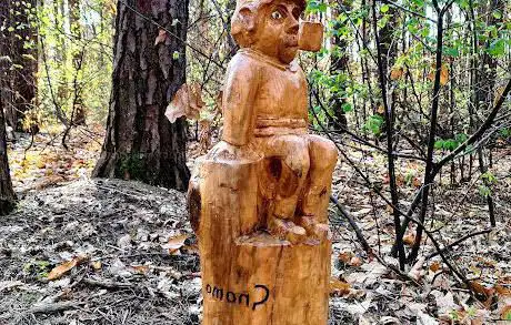 Photo de SENTIERO DELLA MAGIA DEL BOSCO