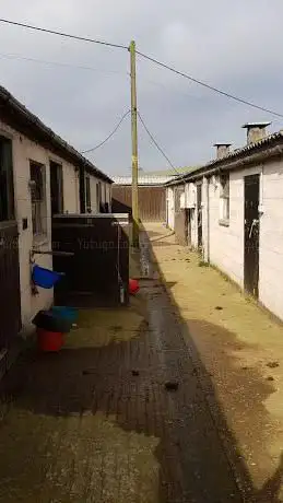 Photo de Barnley Equestrian Centre