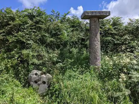 Trevenning Cross