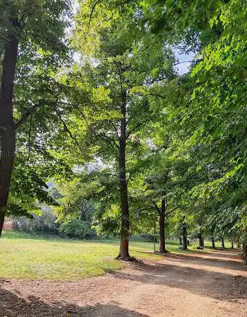Park behind Spinelli School