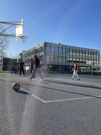 Ron's basketball court