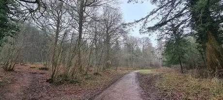Aconbury Hill