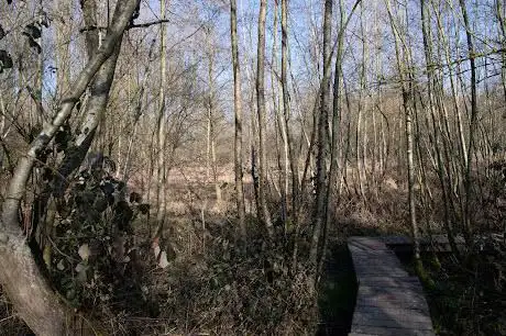 Wandelknooppunt 48