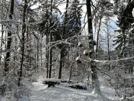 Findling Lengnauer Wald