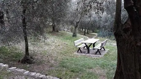 Photo de Massone Picknick area