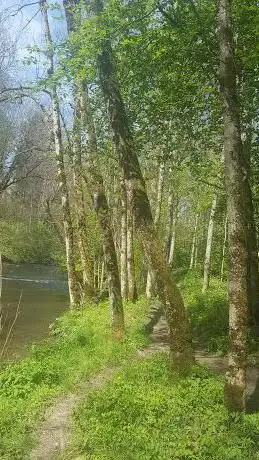 Photo de Lieux Picnic au Bord De La GLANE