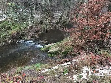 Zulauf Surb von Schneisingen Goldbach