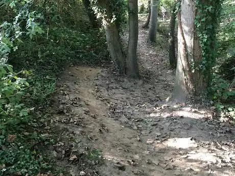 Photo de Grote Molenbeekwandeling