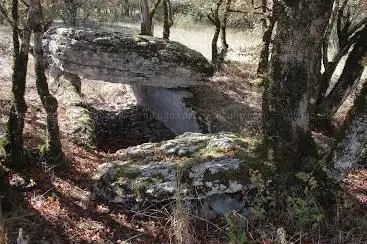Photo de Dolmen de Joncas