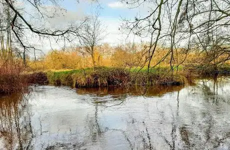 Photo de Griesbroek