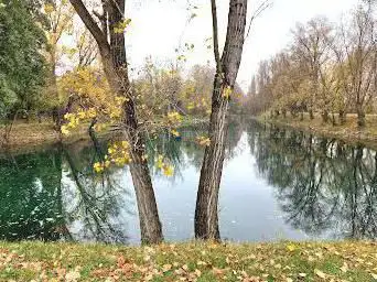 Photo de Ponton De L'étang Du Lavoir