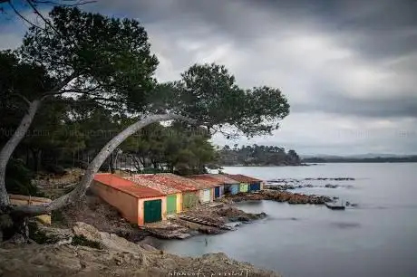 Photo de Plage Crique de Brégançon
