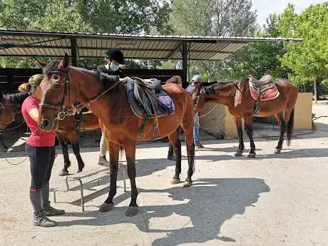 Il Club Ippico L`Agrifoglio