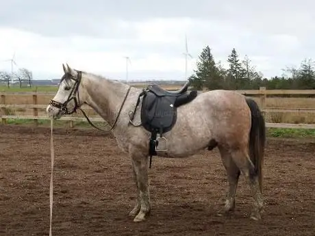 Photo de Mid Drumloch Equestrian Ltd