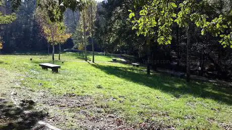 Photo de Ãrea de descanso Uzal 1