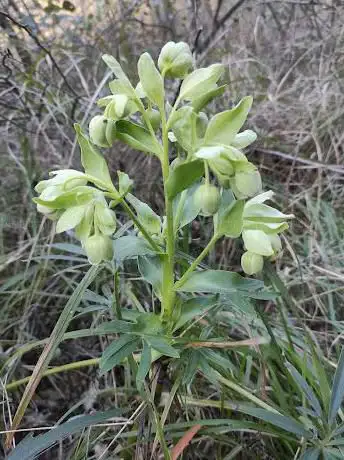 Photo de Riserva naturale regionale di Rio Torsero
