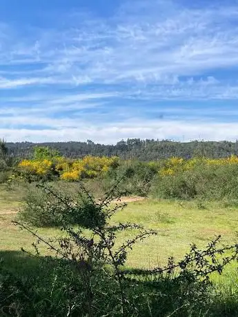 Antigo campo de fútbol de Cea