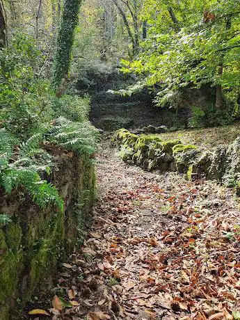 Photo de Souto de San Ramón