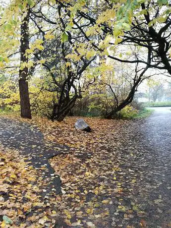Photo de Park For Barbecue Grill/Drone/cycle/etc.