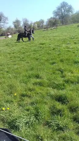Photo de Springwood Riding Club