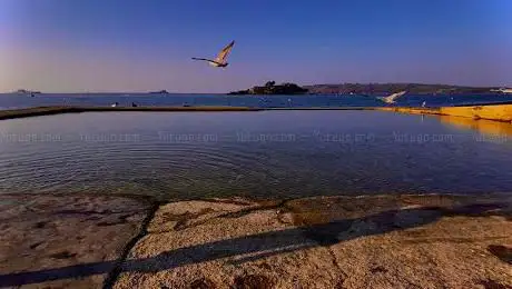 Photo de Devil's Point Tidal Pool