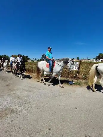 Photo de Rancho los Girasoles