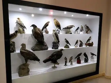 Museo Ornitologico della Sardegna