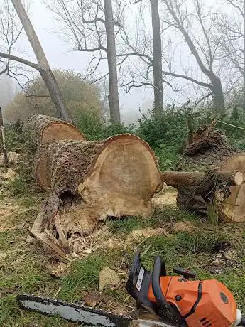 Photo de Joël Davaux