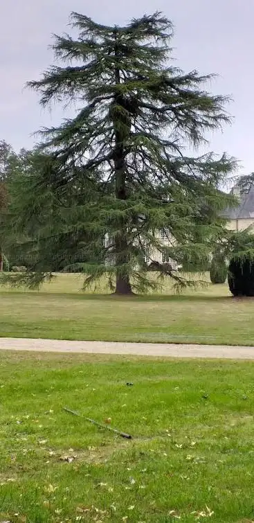 Photo de Château de Kerdreho