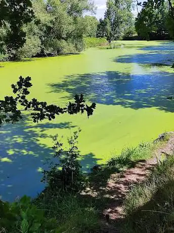 Photo de Plan d'eau de Lesquin
