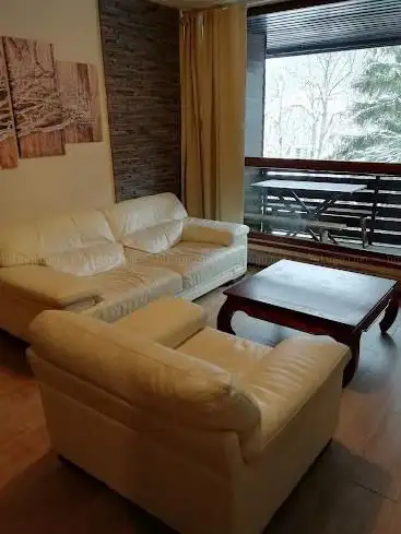 Photo de Le Montagnard appartement 564 Résidence les Pradets