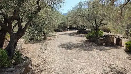 Foresta Demaniale di Tamara-Tiriccu
