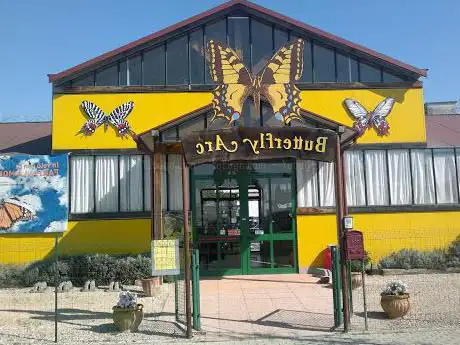 Photo de Butterfly House and Fairy Wood Butterfly Arc