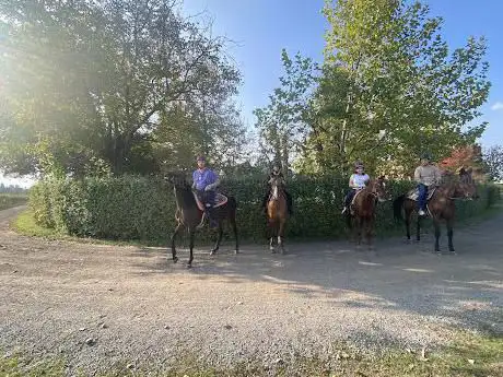 TAMBURINO RANCH
