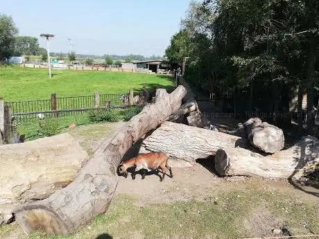 Uilen- en Dierenpark De Paay