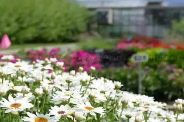 Jardin Botanique Roger-Van den Hende