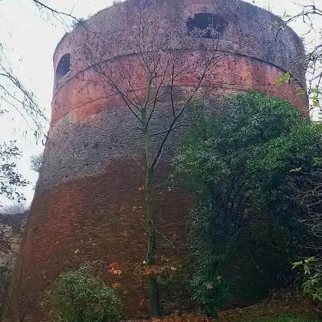 Rondella della Baccola