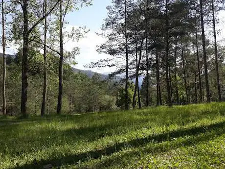 Photo de Àrea recreativa de la Pineda