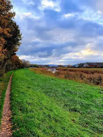 Saltlands Community Woodland