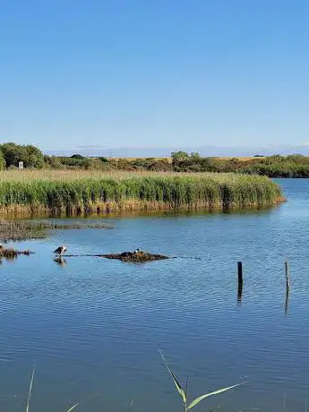 Photo de Stodmarsh National Nature Reserve